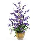 NearlyNatural Dancing Lady Silk Orchid Arrangement Purple