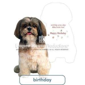   Shih Tzu Birthday Card Paper House Productions