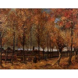  Lane with Poplars