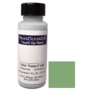   Up Paint for 1995 Ford Aerostar (color code FE/M6641) and Clearcoat