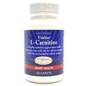   Therapy   Vitaline L Carnitine 500 mg 60 caps