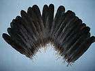 20 Crow Tail Feathers * Native Arts & Crafts * Pagan * Taxidermy