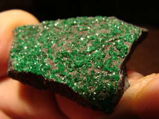 Getting hard to Find Russian Green Uvaroite Garnet Drusy Mineral 