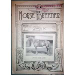   Horse Breeder Vol. XXXVIII No. 9 March 3, 1920 