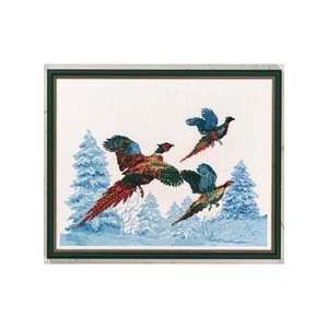  Pheasants Counted Cross Stitch Kit Arts, Crafts & Sewing