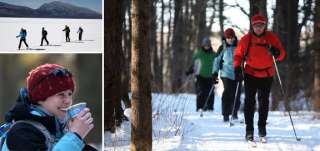   enjoy the quiet beauty of winter on a cross country skiing excursion