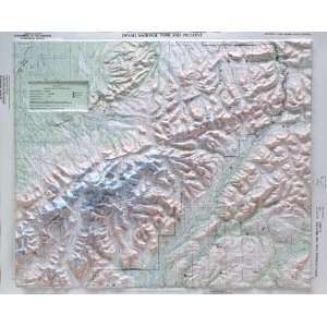  DENALI NATIONAL PARK Raised Relief Map with Gold Plastic 