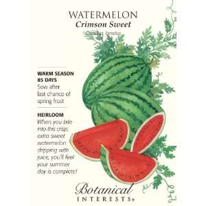 Botanical Interest   Watermelon Crimson Sweet Patio, Lawn 