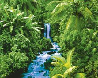 Wasserfall im Regenwald   Natur Landschafts Poster R342  