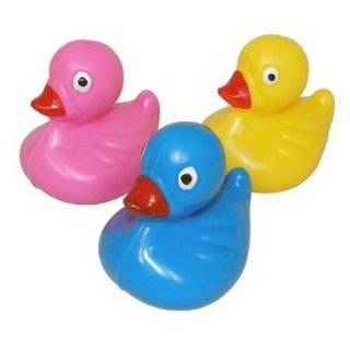   Carnival Ducks and Inflatable Pool ~ Matching Game Toys & Games