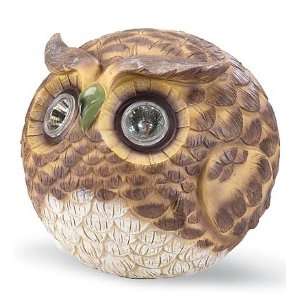  Solar Powered Owl Accent With Light Up Eyes