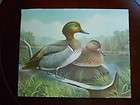 Vintage A J Rudisill Duck Print. Duck Hunting Ducks Unlimited 