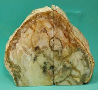 NATURAL PETRIFIED WOOD MINERAL BOOK END FROM MADAGASCAR  