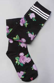 Betsey Johnson The Mexicali Rose Thigh High Sock in Black  Karmaloop 