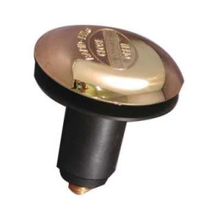DANCO Polished Brass Stopper for Rapid Fit 3/8 In. Drain 88603 at The 