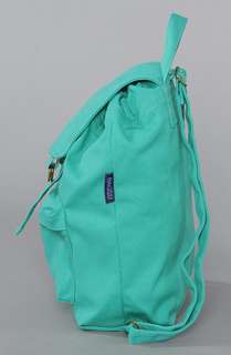 Baggu The Baggu Canvas Backpack in Mint  Karmaloop   Global 