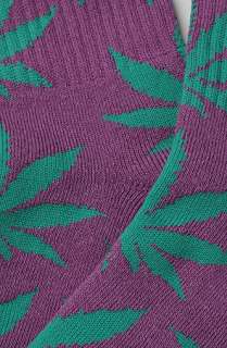 HUF The Plant Life Socks in Purple  Karmaloop   Global Concrete 