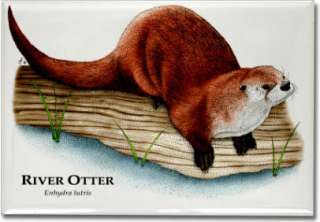 River Otter Art Collectible Refrigerator Magnet  