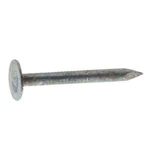   Galvanized Steel Roofing Nails (5 Lb. Pack) 2EGRFG5 