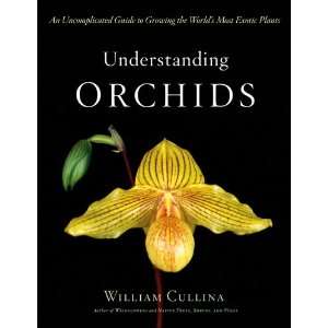  Houghton Mifflin H M Understanding Orchids Patio, Lawn 