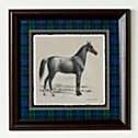   Banks Morgan Horse Framed Giclée Print with Black Watch Tartan Mat