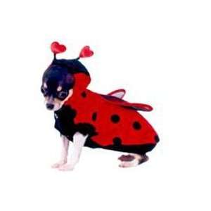 Halloween Dog Costume  Lady Bug Dog Costume (Size 4)  