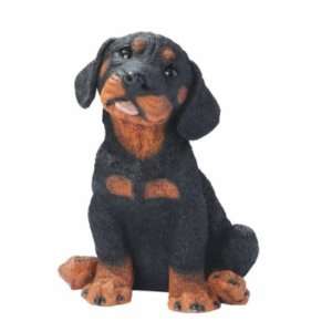  Rotweiler Puppy Dog Statue