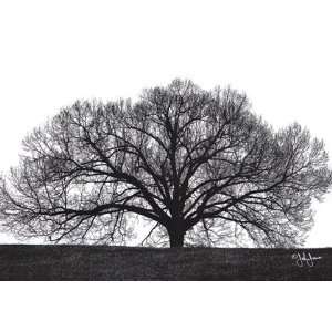  The Tree by John Jones 20x14