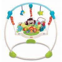   Price Precious Planet Jumper Blue Sky Jumperoo Baby Activity Gym Swing