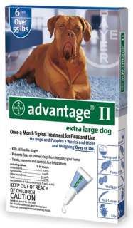 MONTH Advantage II Flea Control for Dogs Over 55 lbs  