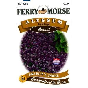   Annual Flower Seeds 1007 Alyssum   Royal Carpet 450 Milligram Packet