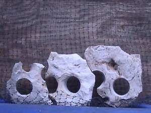 Texas holey rock aquarium cichlids fishtank stone decor  