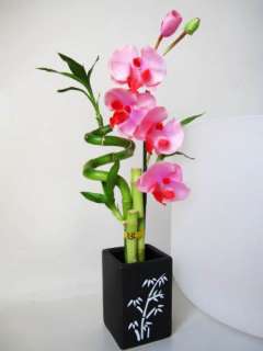   Bamboo Plant Arrangement with Orchid & Ceramic Vase Best Gift