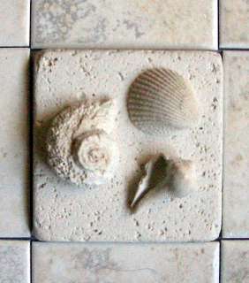 Stone Sea Shell Decos Backsplash Tile Designs TriShell  