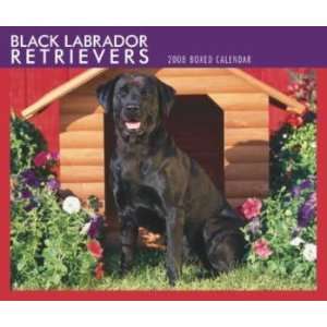  Black Labrador Retrievers 2008 Box Calendar Office 