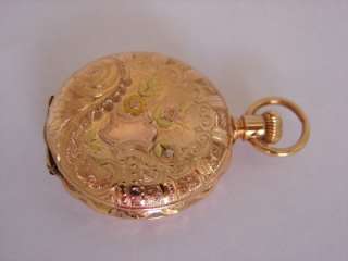   Multi Color Gold Waltham Hunting Case Pocket Watch Colored Dial  