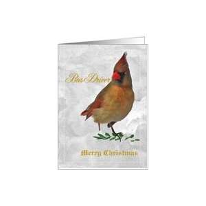 Christmas,Bus Driver,Female Red Cardinal Stands in Snow,Holly Branch 