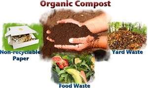 Organic Composting Guide Dvd Homesteading Farming Worms  