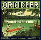 ORCHID Vintage Wabasso, Florida Citrus Crate Label  