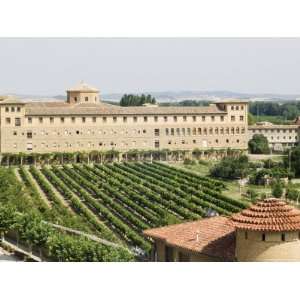  Vineyard and Monastery, Olite, Navarra, Euskadi, Spain 