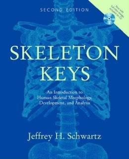   an introduction to human ske by jeffrey h schwartz $ 81 88 1 2 3 next