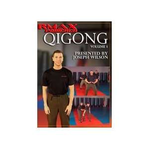    Rmax Powered Qigong DVD 1 with Joseph Wilson