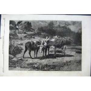  1861 Three Brothers Rosa Bonheur French Gallery Donkeys 