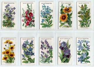 Complete Set of 50 OLD ENGLISH GARDEN FLOWERS Cards from 1910  