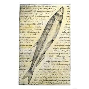 William Clarks Sketch of a Trout in the Lewis and Clark 