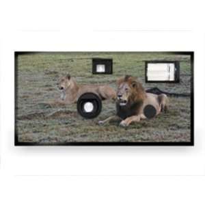    Animal Disposable Camera   Lion Case Pack 20