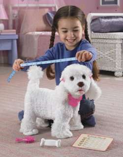 The Poodle Shop   How to Love Your Dog   Puppy Grows And Knows Your 