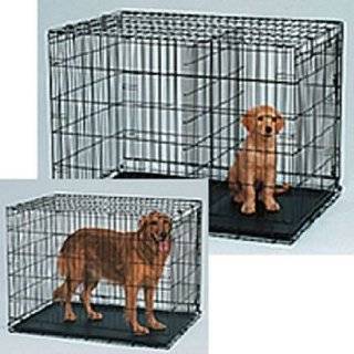 Midwest Life Stages Single Door Folding Metal Dog Crate, 30 Inches by 