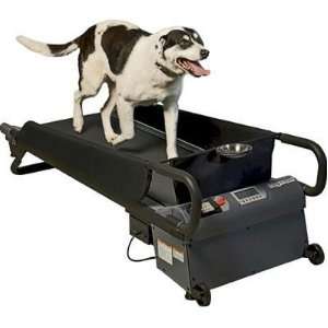  DogTread PZ1702 Medium Treadmill for Dogs