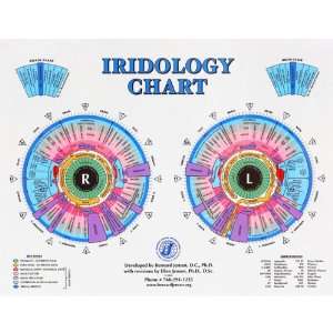  Irigology Desk Chart 11 X 17 